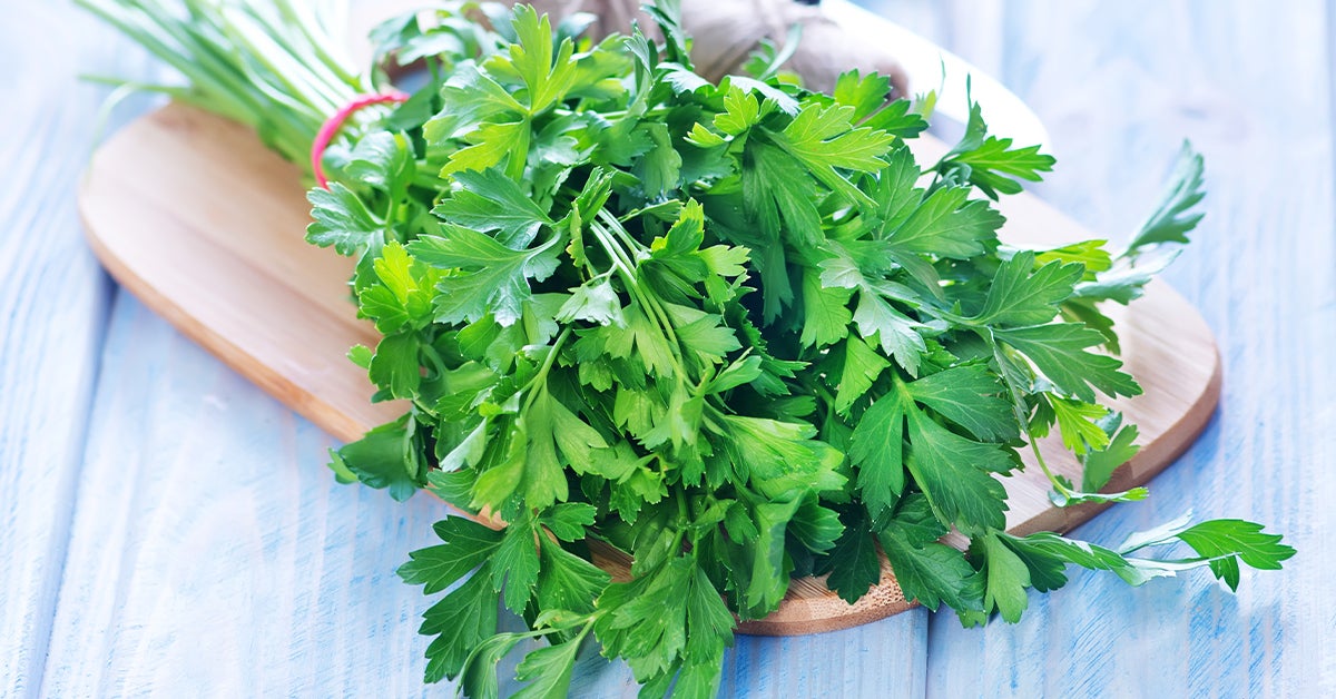 10 Tasty Parsley Substitutes