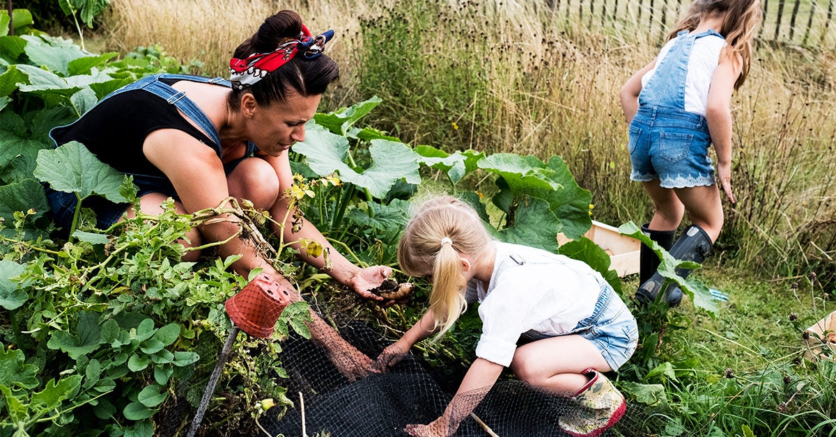 10 Benefits of Gardening, Plus Helpful Tips & Recommendations