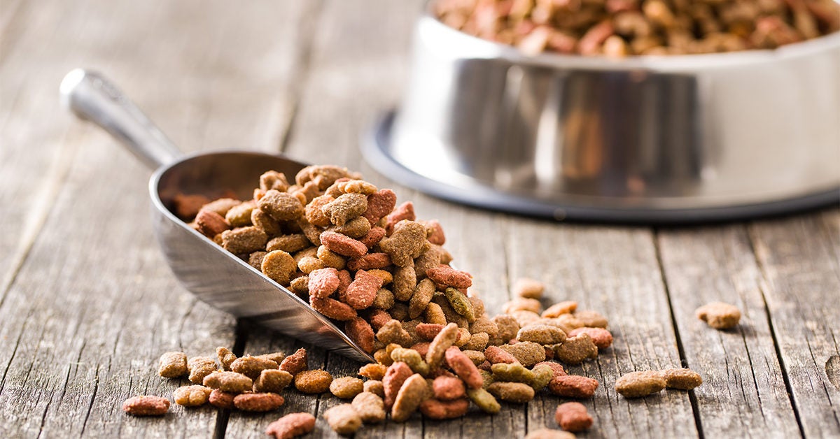 nutritional content of commercial dog foods
