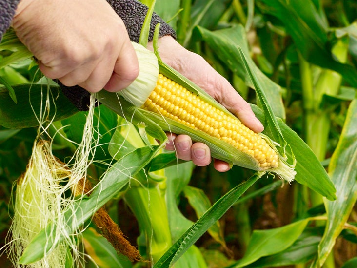 Gmos Pros And Cons Backed By Evidence