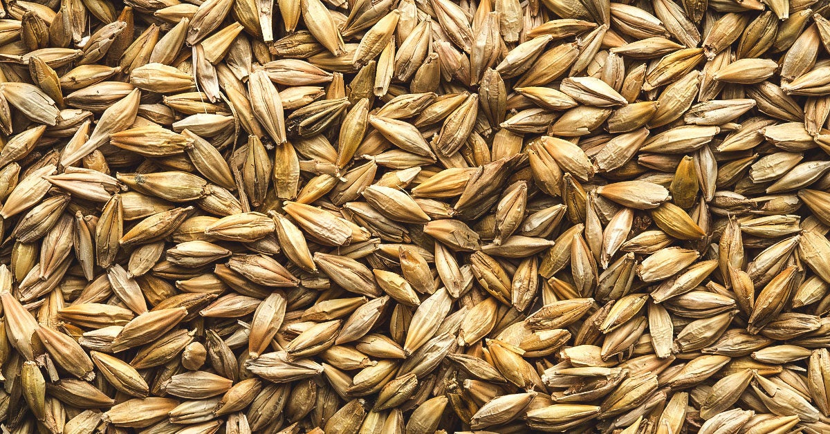 Is Barley GlutenFree?