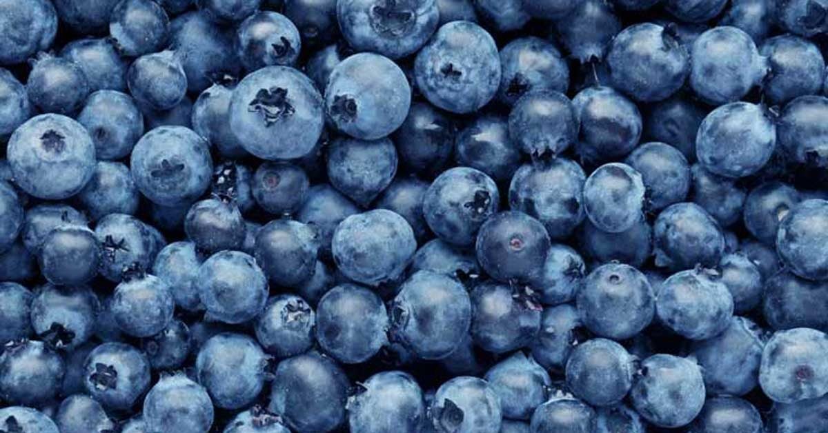 Blueberries 101: Nutrition Facts and Health Benefits