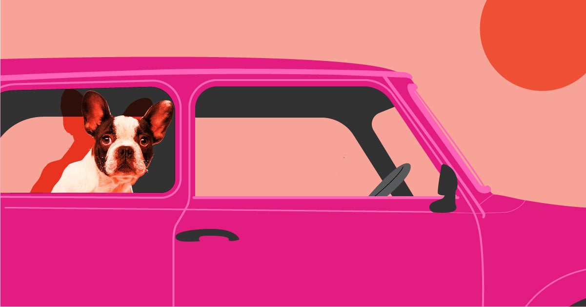 Dogs And Hot Car Dangers Hot dog heartache | rageboner. dogs and hot car dangers