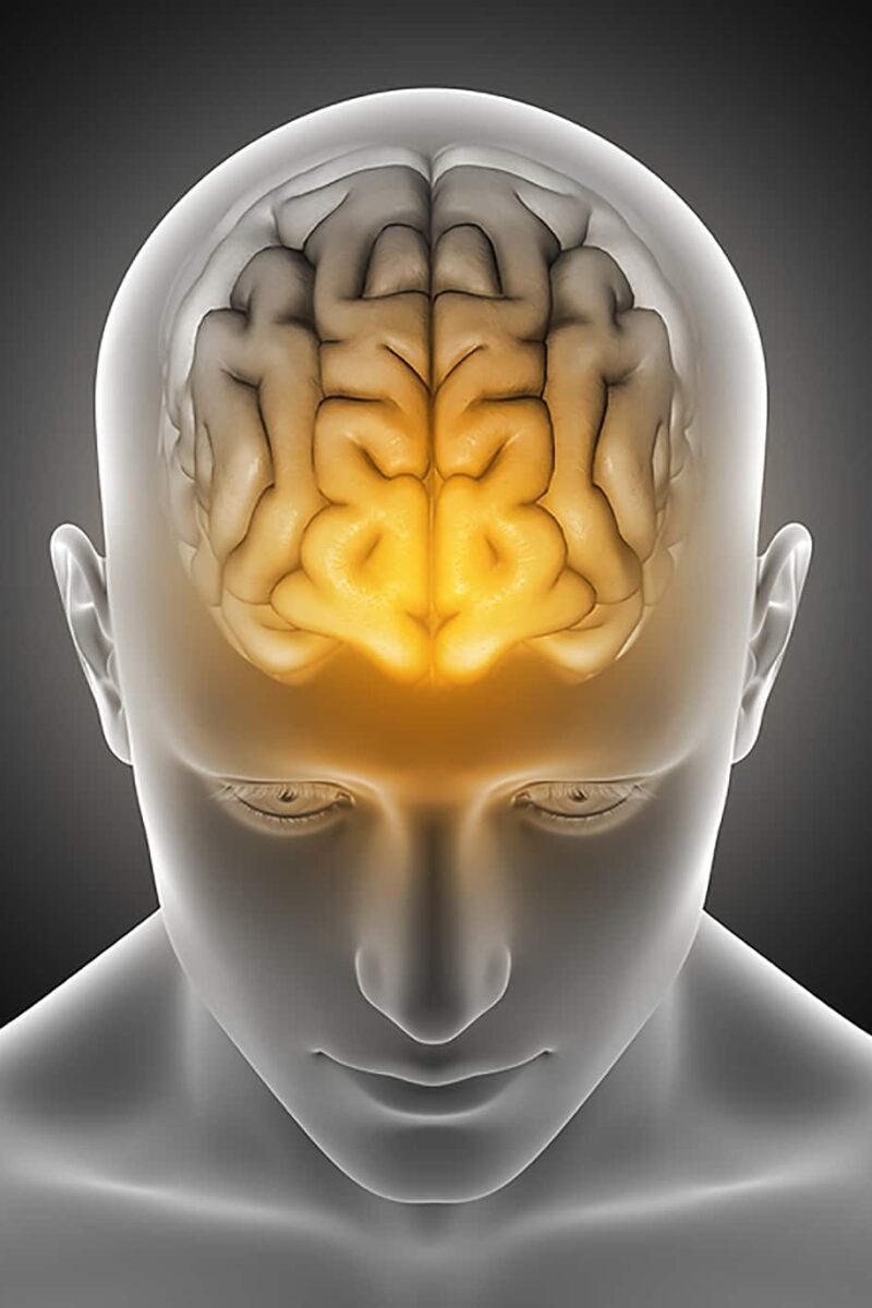 Photo of stress Brain. Good brain