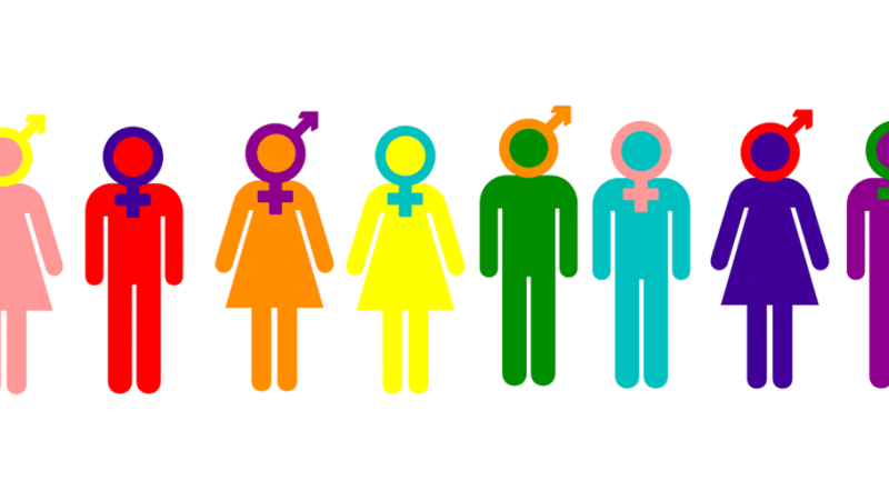 There Is No Evidence That Rapid-Onset Gender Dysphoria Exists