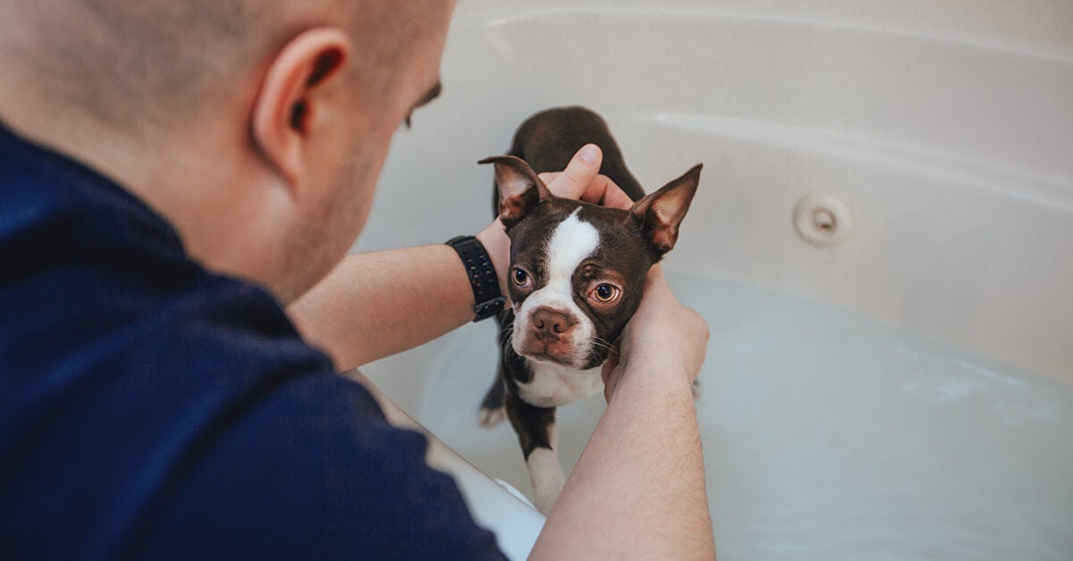 Living with Depression? How to Be Productive in 4 Steps