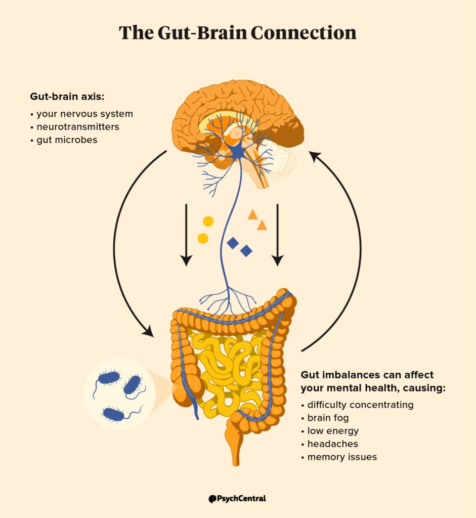research on gut health and depression