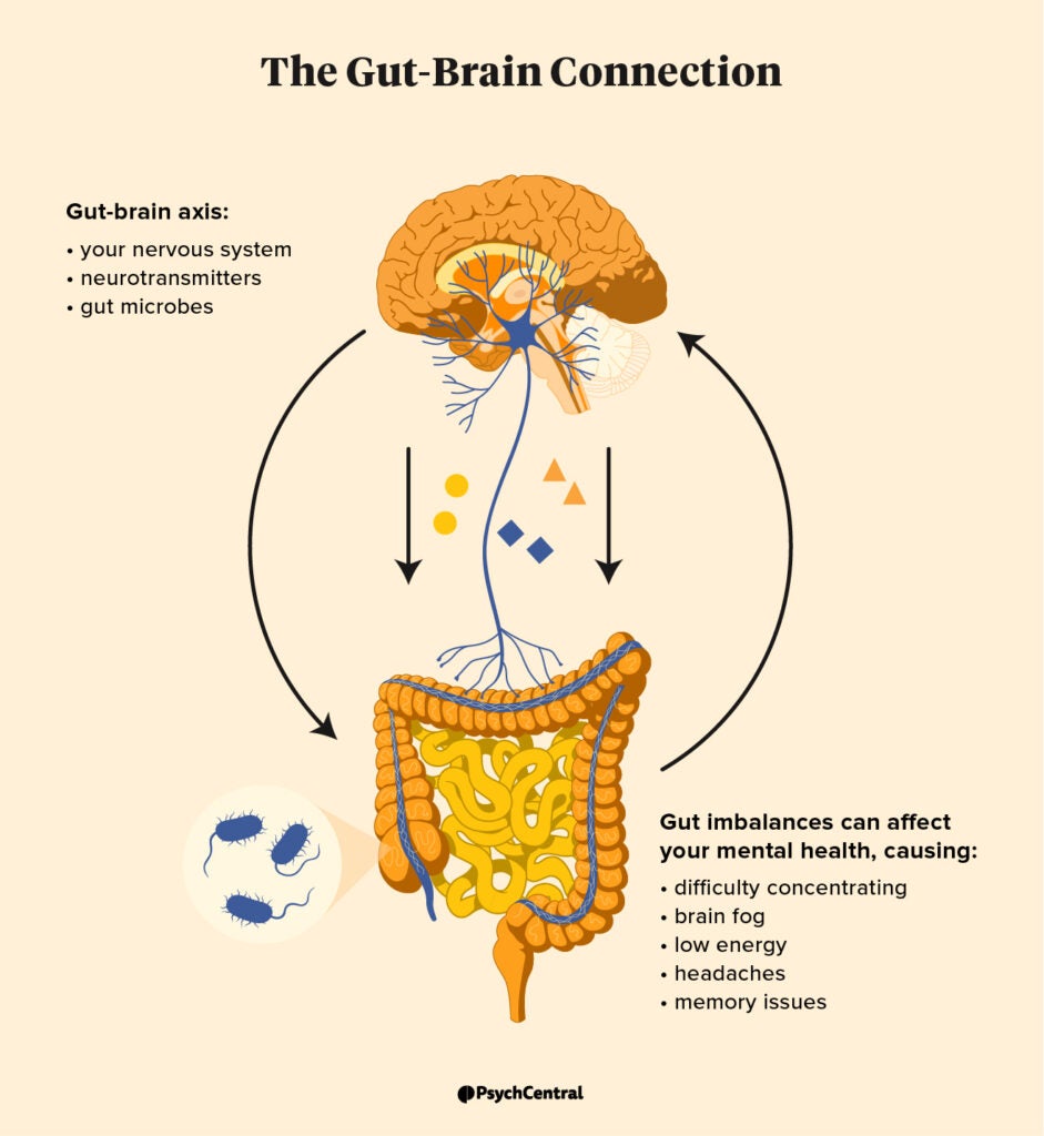 Gut Health And Depression Whats The Link