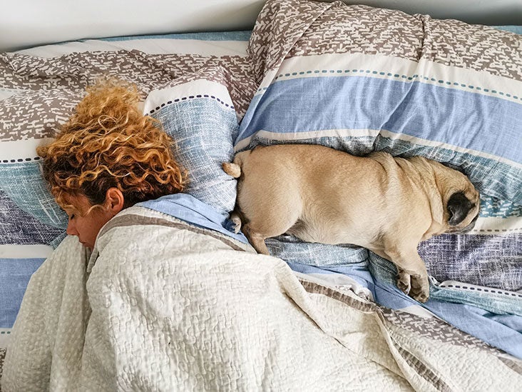 can you get worms from your dog sleeping in your bed